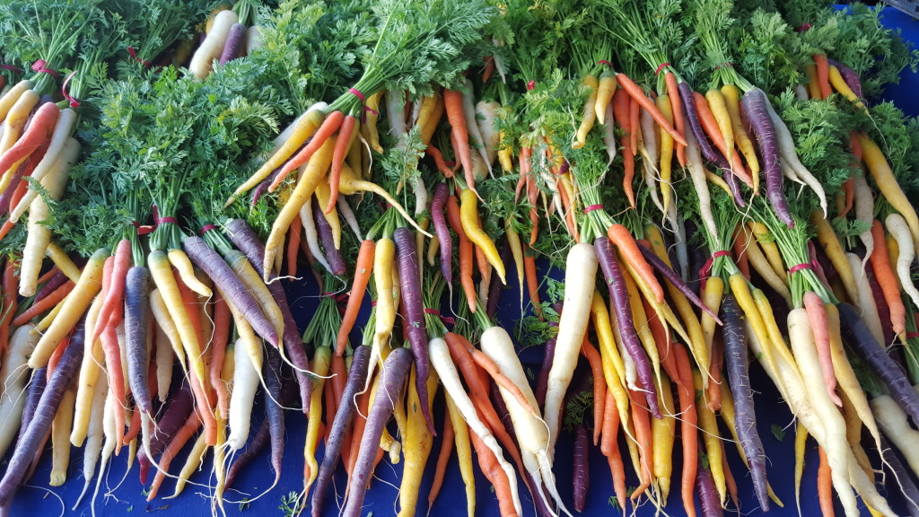 Multi-colored carrots from The Garden Of...