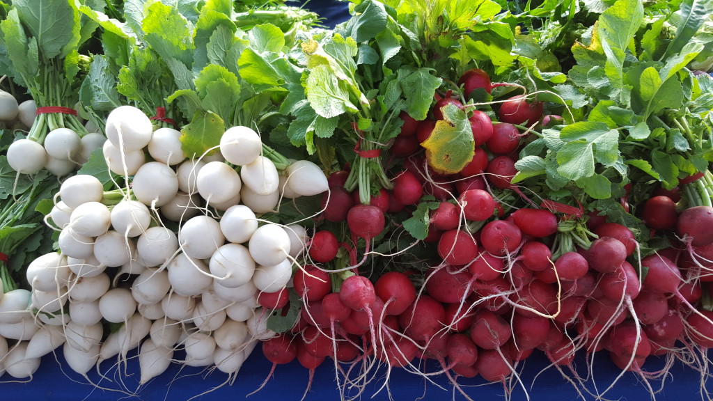 Japanese turnips and radishes from The Garden Of...