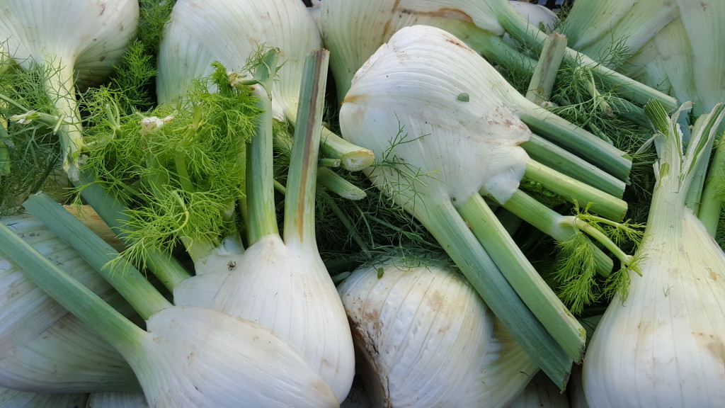 Fennel bulbs from The Garden Of... Try using what's left of the fronds like dill.
