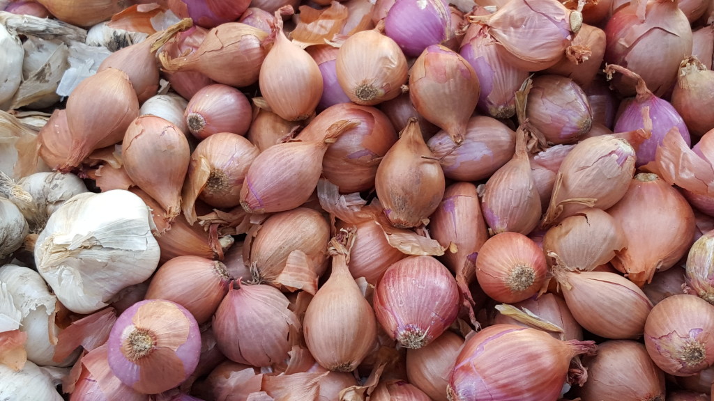 Shallot central, with a few garlic cloves playing tourist.